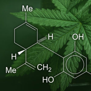 CBD Products